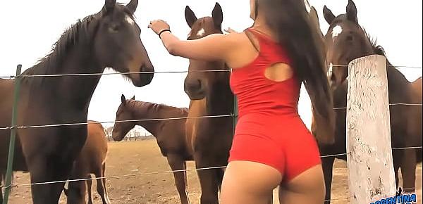  The Hot Lady Horse Whisperer - Amazing Body Latina! 10  Ass!